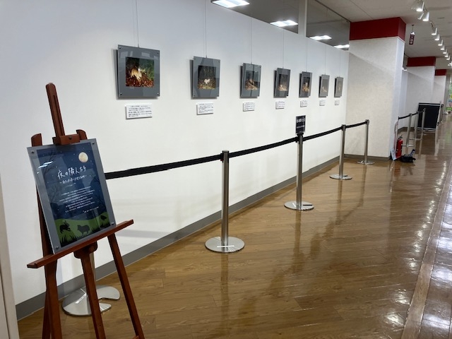 展示全体