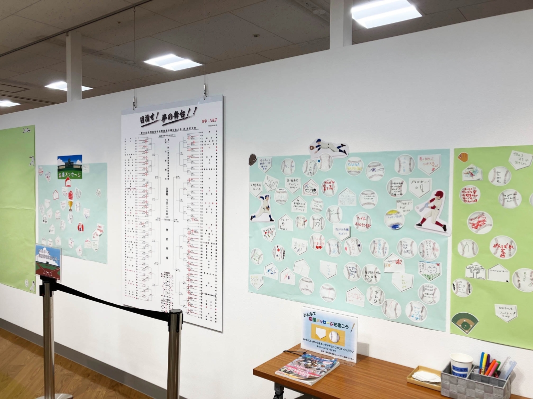 展示全体
